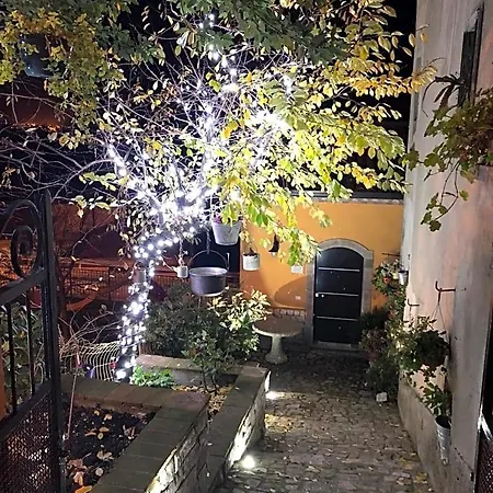 Il Piccolo Principe Cairano